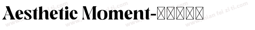 Aesthetic Moment字体转换